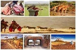 3-Day Samburu and Namunyak Conservation Game Drive and Camel Safari 