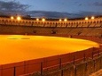 Seville bullring, guided tour, direct entry and small group