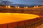 Seville bullring, guided tour, direct entry and small group
