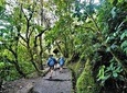 Private Day Tour to Mindo - Waterfalls, Hummingbirds & Chocolate 