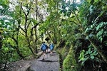 Private Day Tour to Mindo - Waterfalls, Hummingbirds & Chocolate 