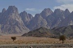 Umm Dalfa–Bedouin Village Sunset Safari