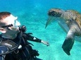 Discover Scuba Diving experience with Atlantic turtles