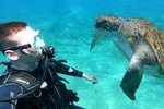 Discover Scuba Diving experience with Atlantic turtles