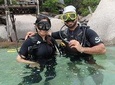 PADI Discover Scuba Diving in Koh Tao - half day and two dives