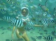 Bali Sea Walker 