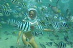Bali Sea Walker 