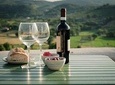 High-end Organic Wine Private Tour to Wine Region with Gourmet Lunch 