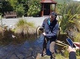 Private Kapiti Coast Full Day Tour