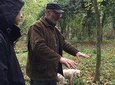 Truffle hunt on the hills near Florence with Truffle toasts and Lunch de-luxe 