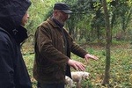 Truffle hunt on the hills near Florence with Truffle toasts and Lunch de-luxe 