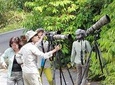 Fraser's Hill Bird-Watching & Nature Sightseeing Tour from Kuala Lumpur
