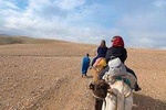 Agafay desert camel ride 