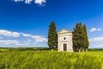 Val d'Orcia private tour: Montalcino, Pienza and Montepulciano