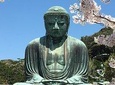 Private Tour to see Highlights of Kamakura, Enoshima, Yokohama from Tokyo
