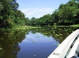 4 days 3 nights – Peruvian Tambopata Jungle
