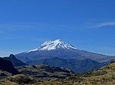 privated tour Antisana Volcano and Bird watching for begginers 
