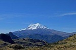 privated tour Antisana Volcano and Bird watching for begginers 