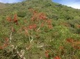 Cloud Forest hiking