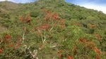 Cloud Forest hiking