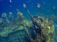 Coron Island Tour B (Private)