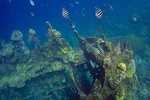 Coron Island Tour B (Private)