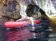 Paddle into the sunset on Vulcano Island