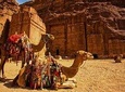 From Aqaba: Day excursion to Petra 