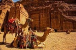 From Aqaba: Day excursion to Petra 