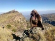 Simien Mountains Trekking Adventure