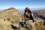 Simien Mountains Trekking Adventure