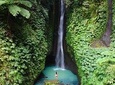 Best of North Bali Tour: Leke-Leke Waterfall, Handara Iconic gate and Temples