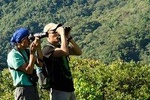 Wildlife Encounter Mindo Tour