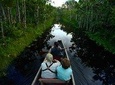 Tour Amazon Yasuni 5D - 4N