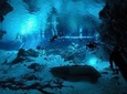 Dos Ojos Cenote Cavern Dive- The Barbie Line and The Bat Cave