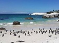 Cape Peninsula Day Tour
