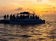 Key West Dolphin Watch Sunset Snorkel Cruise