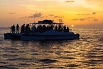 Key West Dolphin Watch Sunset Snorkel Cruise
