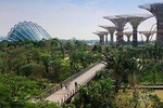 Private One Day Highlight Tour of Singapore with Singapore Flyer
