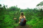 Ubud rice terrace walk and flying fox tour 