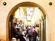 Granada: Historical City Center & Albaicin Private Tour 