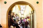 Granada: Historical City Center & Albaicin Private Tour 