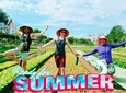 Da Nang Home Cooking and Private Car to My Son Full Day tour 