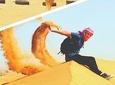 Dubai Desert 4x4 Dune Bashing, Sandboarding, Camel Riding, Dinner