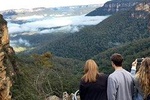 Blue Mountains Private Tour - wild kangaroos, waterfalls and The Three Sisters