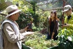 Coffee Plantation Tour From Bogota