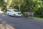 Victoria Falls Airport Transfer