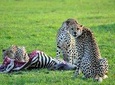 2 days Amboseli National Park Safari