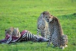 2 days Amboseli National Park Safari