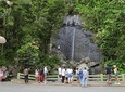 Rainforest River Nature Walk Adventure and Luquillo Beach